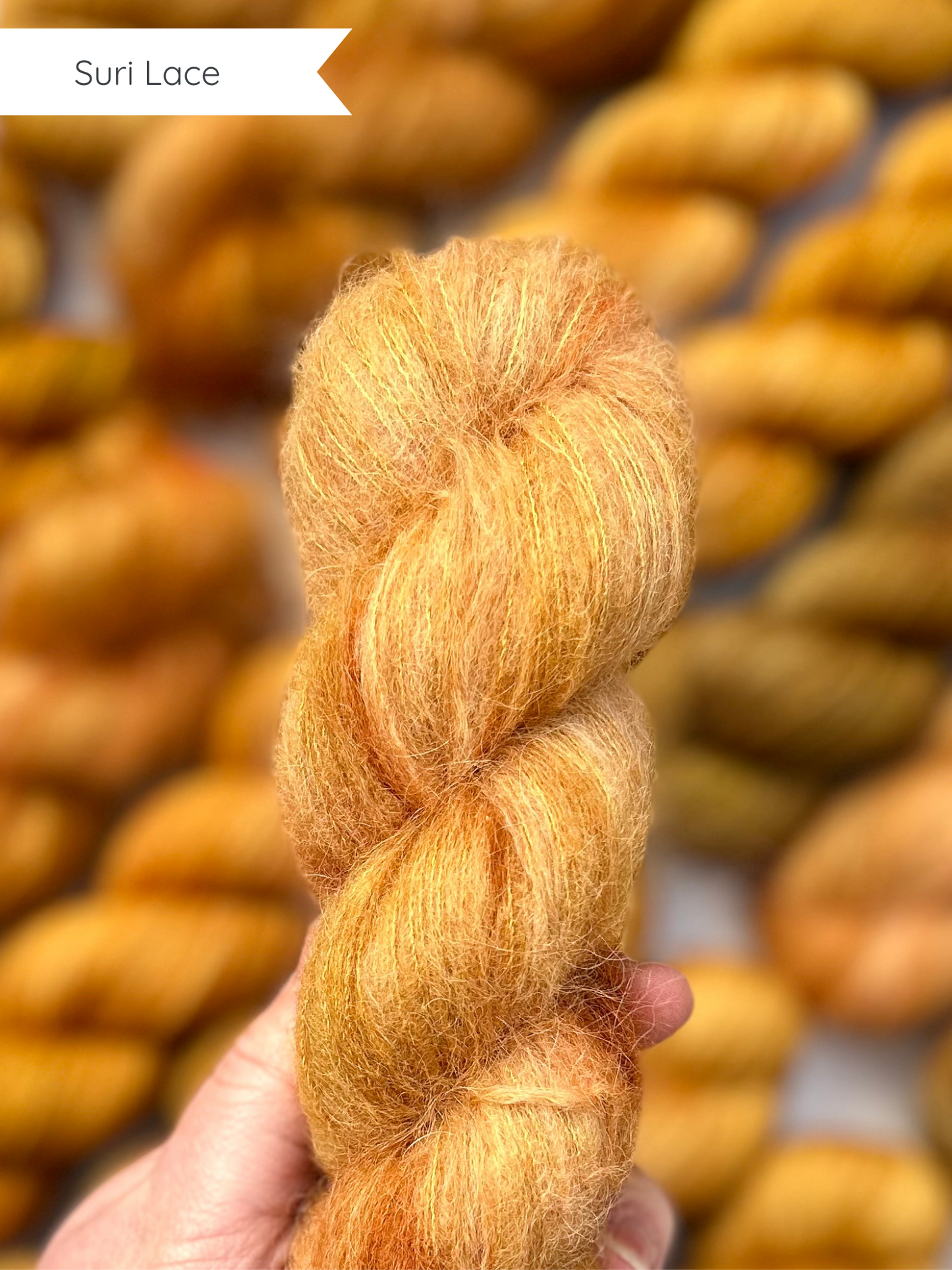 Silly Old Bear - Dyed to Order *6-8 week turnaround*