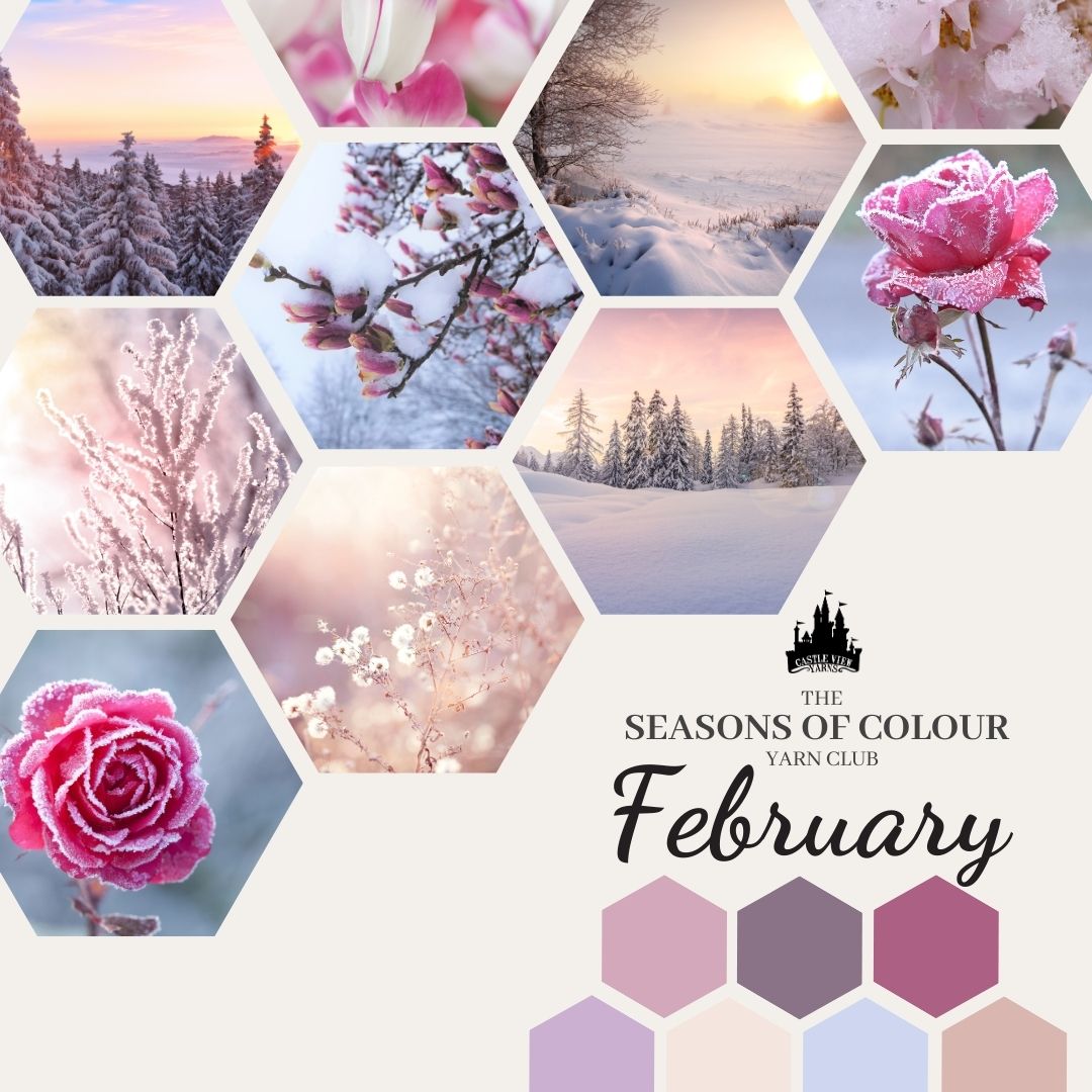 February (Winter #3) - Seasons of Colour Yarn Club