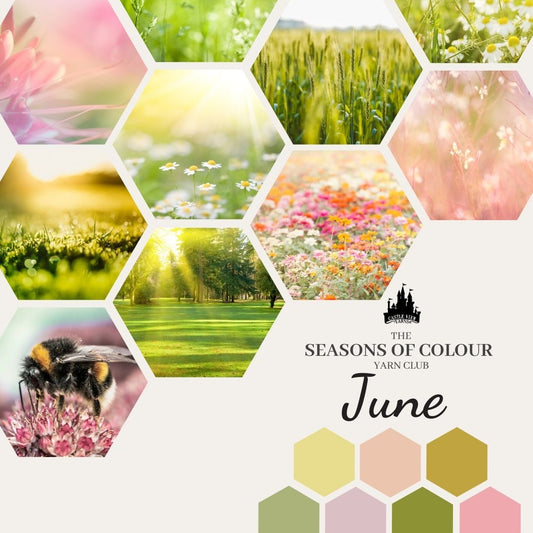 June (Summer #1) - Seasons of Colour Yarn Club