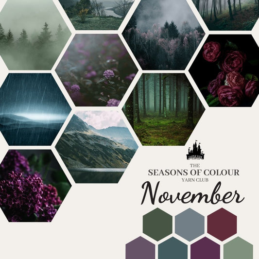 November (Autumn #3 ) - Seasons of Colour Yarn Club