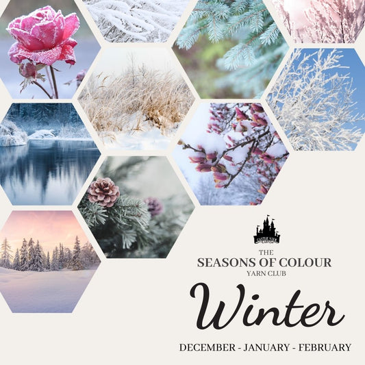 Winter: 3 month subscription - Seasons of Colour Yarn Club