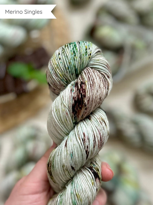 Mint Choc Chip - Merino Singles 100g