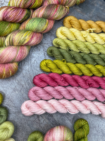 March Extras - Seasons of Colour Yarn Club (Ready to Ship)