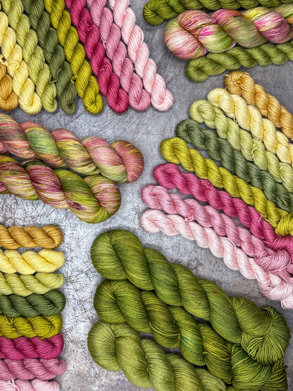 March Extras - Seasons of Colour Yarn Club (Ready to Ship)