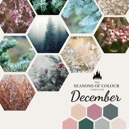 December (Winter #1) - Seasons of Colour Yarn Club