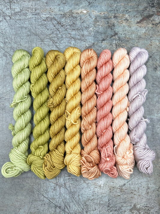 June Minis - Soft Merino DK - 8 x 20g set (Seasons of Colour)