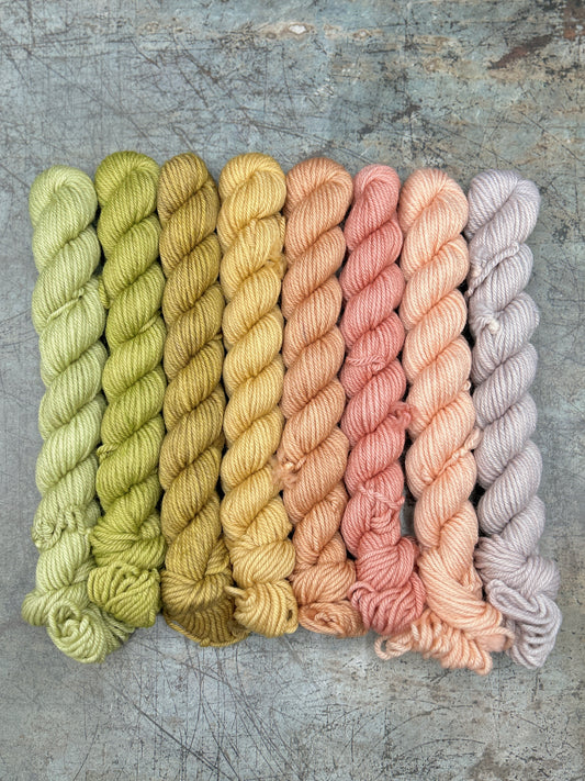 June Minis - DK 75/25 - 8 x 20g set (Seasons of Colour)