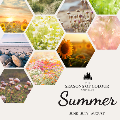 Summer: 3 month subscription - Seasons of Colour Yarn Club